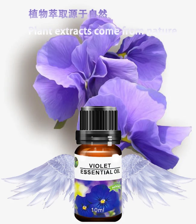 

100% Pure Natural Therapeutic grade Violet Essential oil for buying in bulk