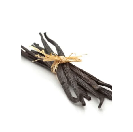 
All Natural 14-18cm A Grade Madagascar Vanilla Beans with KG Price 