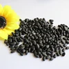 Small Black lentil beans for sale