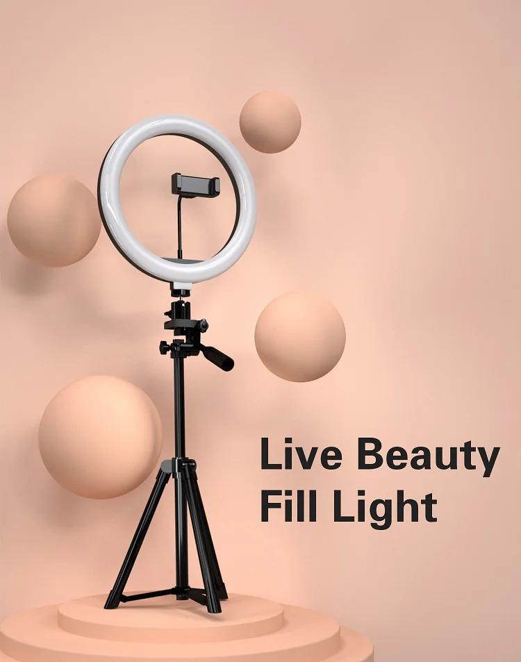 

Factory Wholesale Beauty 10 inch Tiktok Photographic Selfie Led Ring Light With Tripod Stand For Live Stream Makeup Youtube