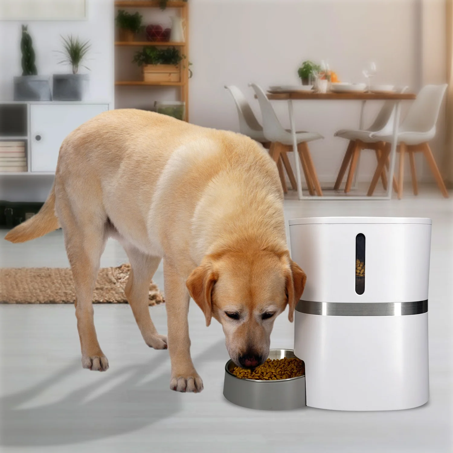 

Comedero Gato Automatico Dispensador De Comida Smart Pet Feeder Bowls & Feeders Microchip Cat Food Automatic Dog Food Dispenser, White