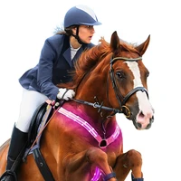 

USB rechargeable led light up horse breastplate for equestrian
