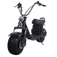 

60v 1500W big seat adult aluminum wheel hub brushless motor luthium battery 2 wheel fat tire scooter citycoco electric scooter