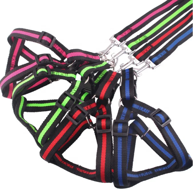 Quick Release Adjustable Elastic Pet Dog Collar Leash With Reflective