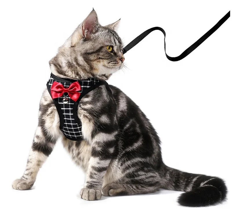 

Outdoor Cats Accessories Nylon Mesh Cat Harness Breathable Adjustable Harnesses Leash Set With Bell Bowknot For Kitten Puppuy, Multi