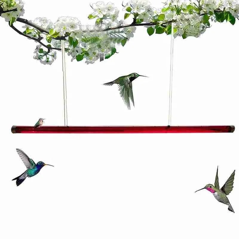 

Hummingbird Feeder With Hole Feeding Pipes Birds Easy To Use Red Hanging Long Tube Bird Feeder 40cm Anna's Best Gardening Tools