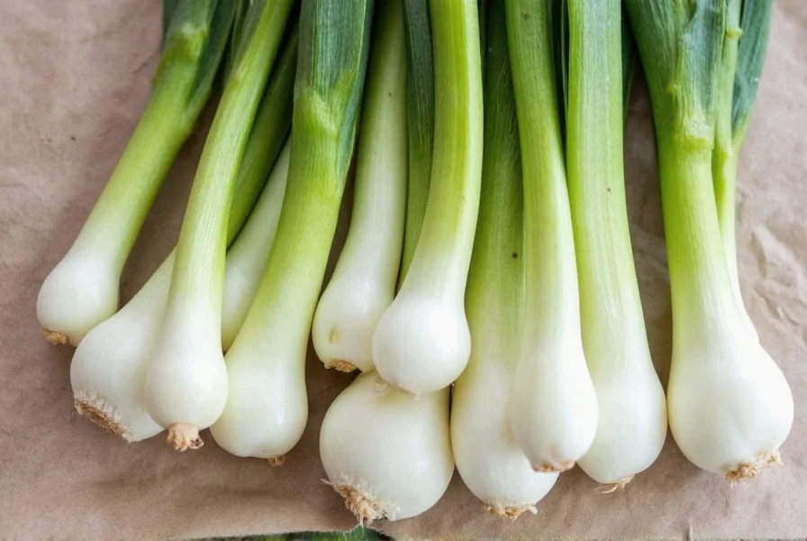 Best Fennel Bulb Substitutes: Practical Replacements for Cooking