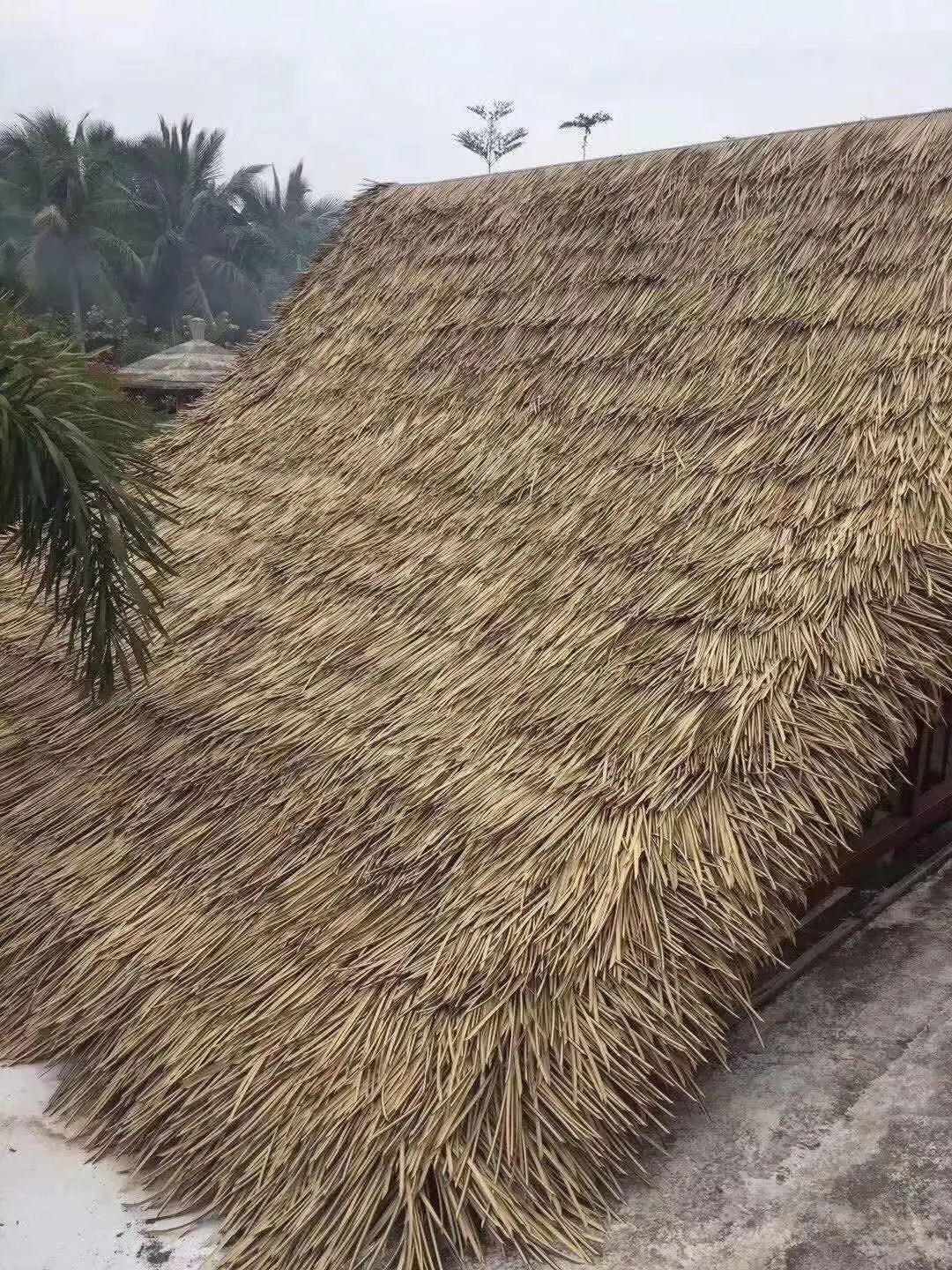 Wholesale Mexican Fire Resistant Thatch Palm Thatch Rolls Artificial