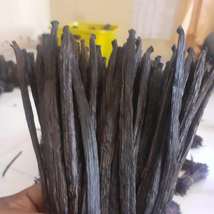 
Food Grade Natural Dried Vanilla Beans From Indonesia 