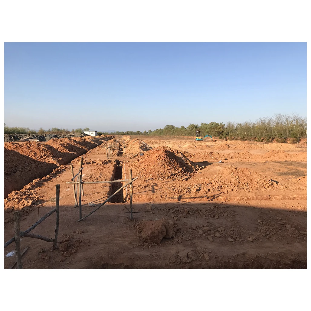 
Japanese shiitake mushroom cultivation consulting oem product personalized service 