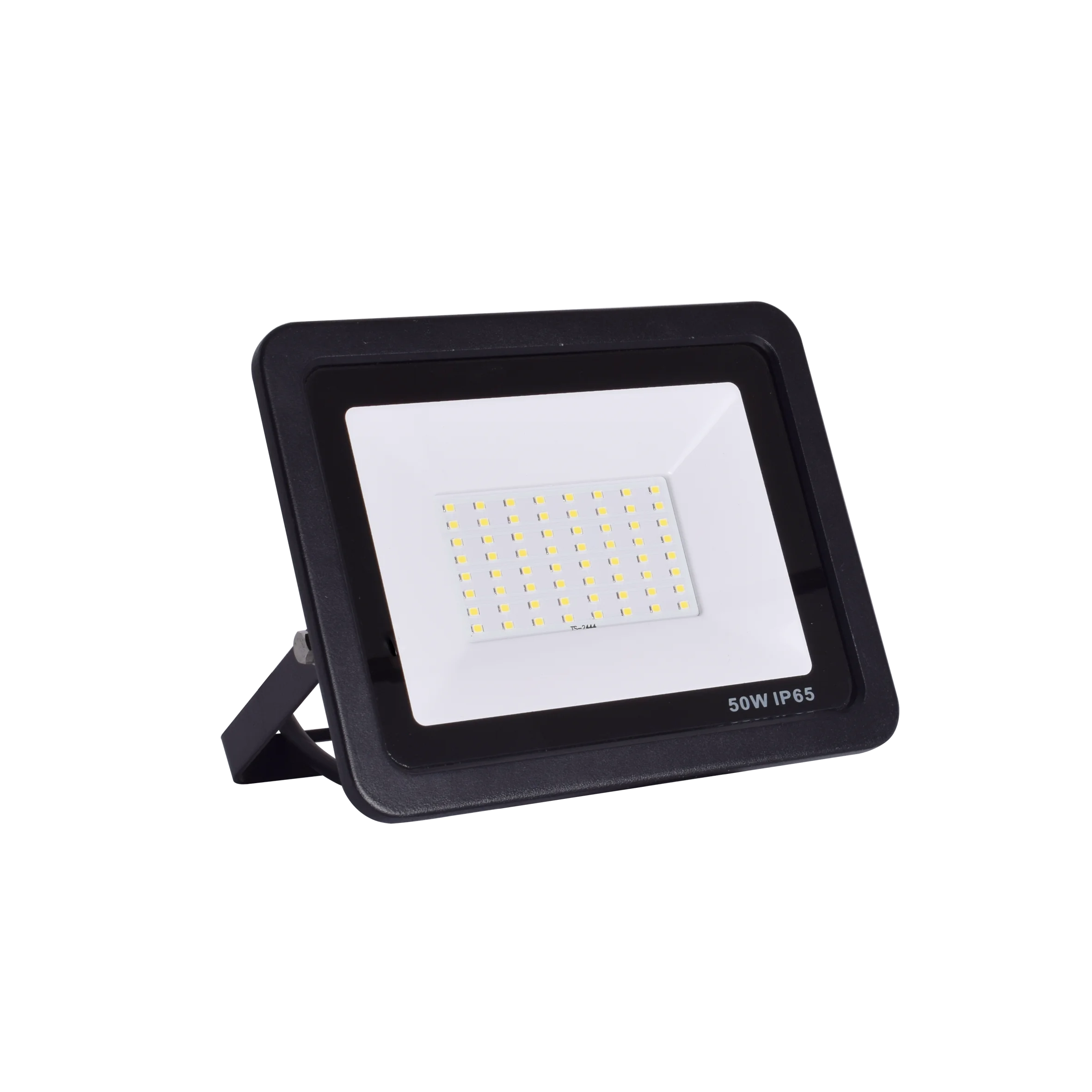 100W ip65 led flood light 220V smd