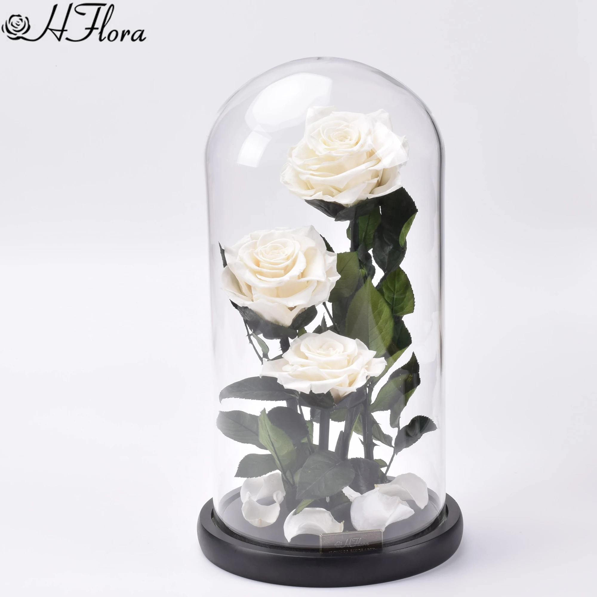 

15*30cm Wholesale Forever Eternal Everlasting Preserved Roses in Glass Dome Long Stem Glass Rose in Gift Box for Valentine's Day, Red