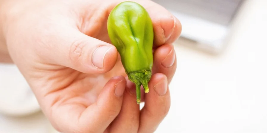 Side-by-side photo of different small hot peppers including chile tepin