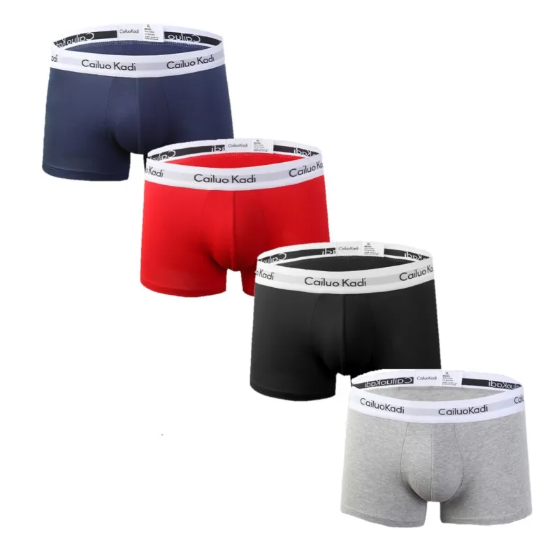 

New style brand fashion elastic winter mens underwear shorts boxer briefs for men