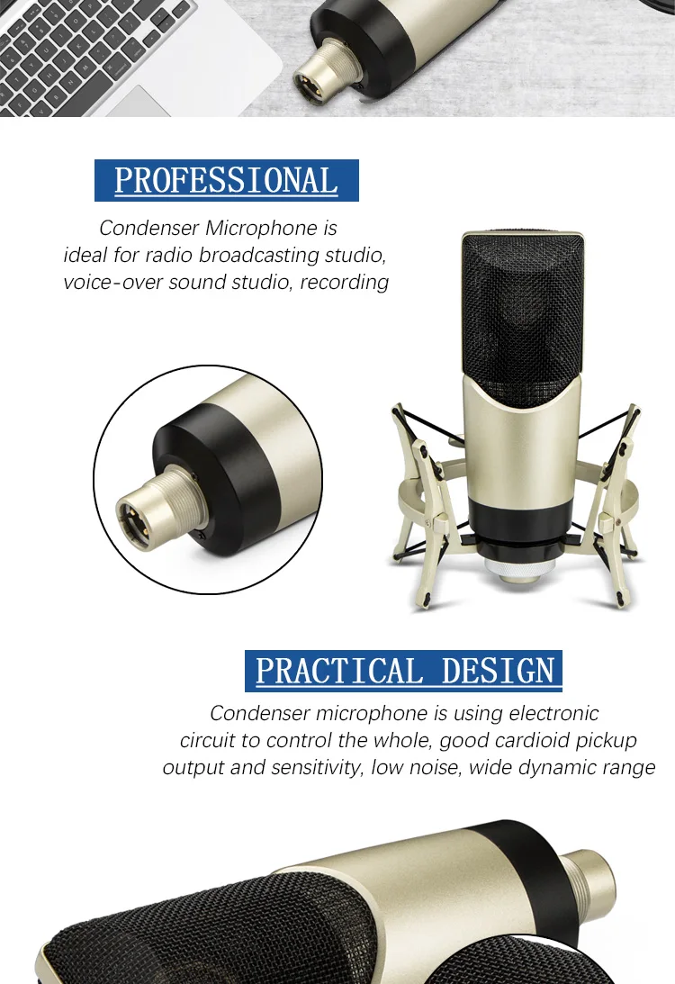 Condenser Microphone Phantom Power Stand With Cable Pop Filter Wind