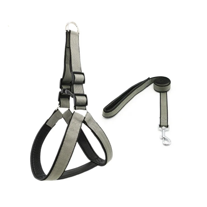 

Nylon dog harness walking rope  dog products fashion collar and leashes, Picture