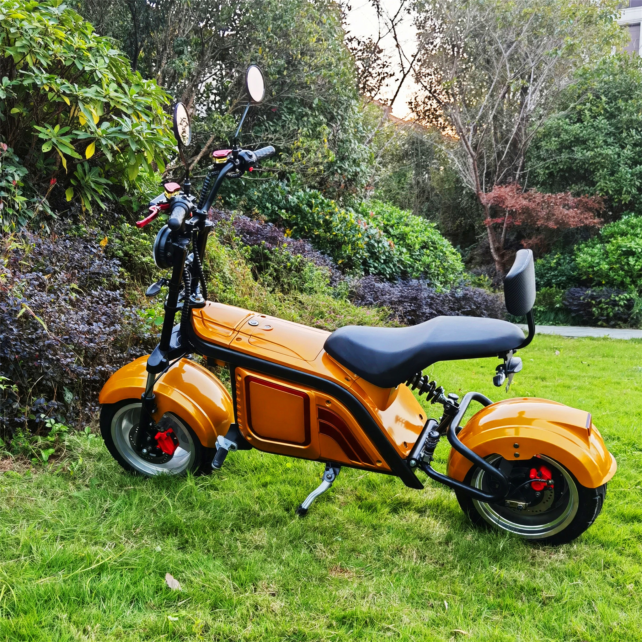 

Maintenance Friendly With Wholesale Price 3 Wheel Electric Citycoco Scooter For Adult