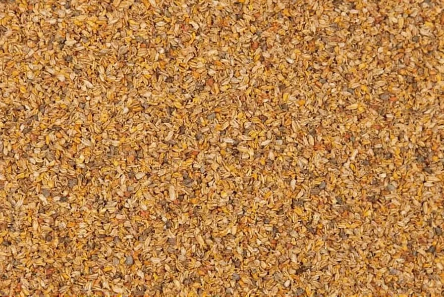 Comparison of jeera (cumin), shahi jeera, and kalonji seeds