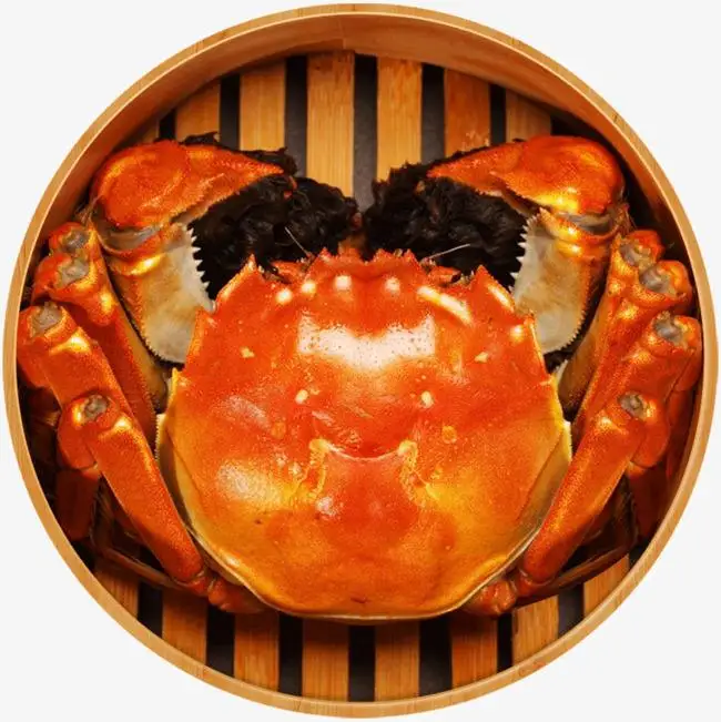 
Chinese Mitten-Handed Crab(703) 