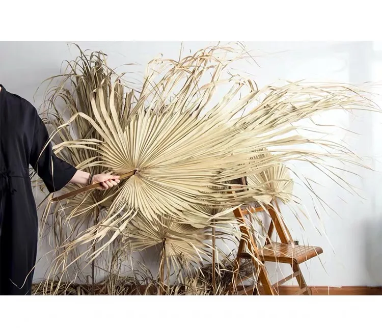Wholesale Most Popular Real Natural Dried Palm Leaves For Home