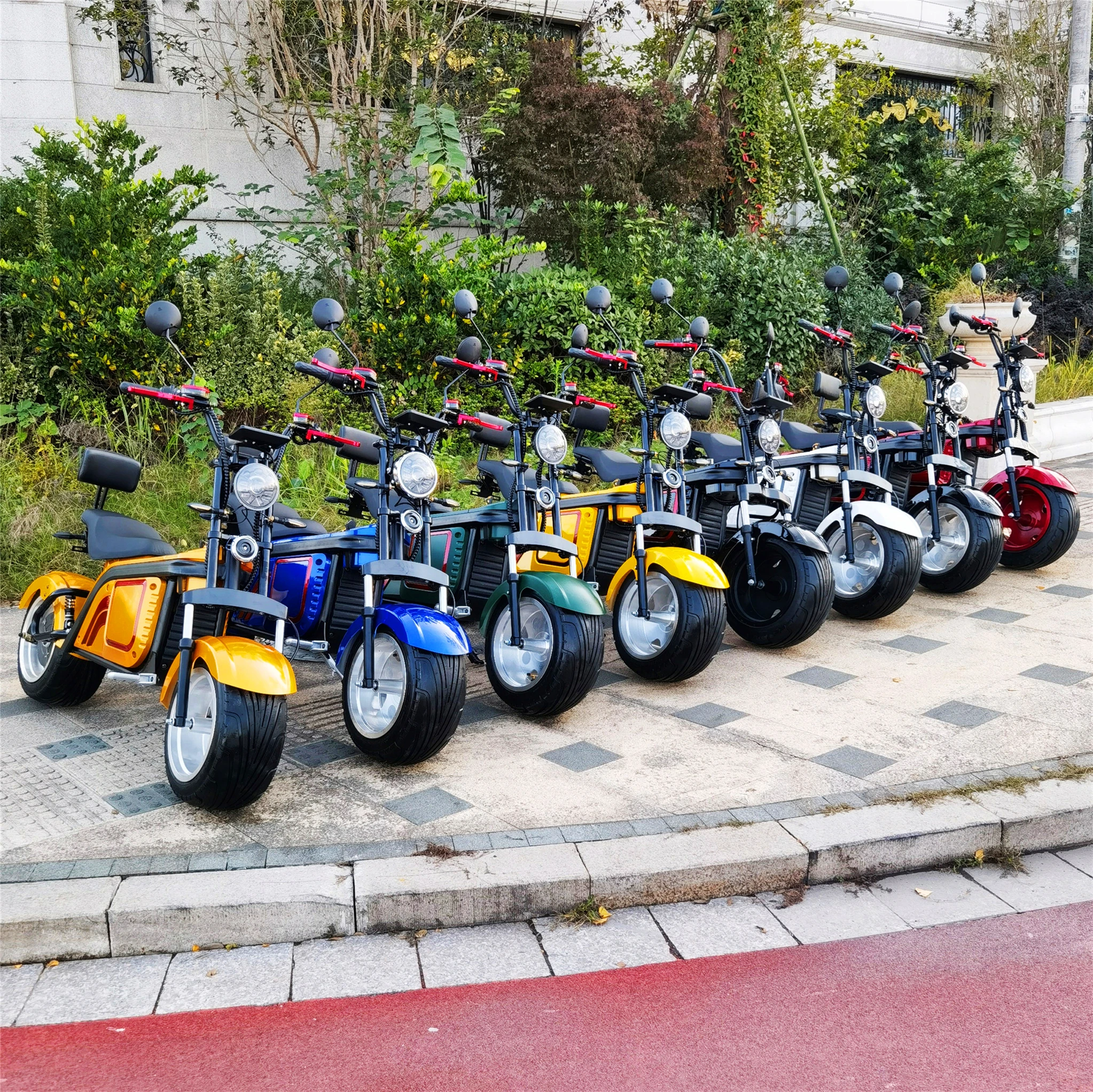 

China Mini Citycoco 2 Wheel Electric Scooter