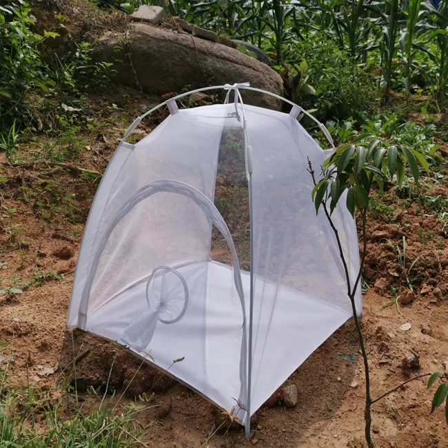 Butterfly Habitat Rearing Tents and Insect Breeding Cages