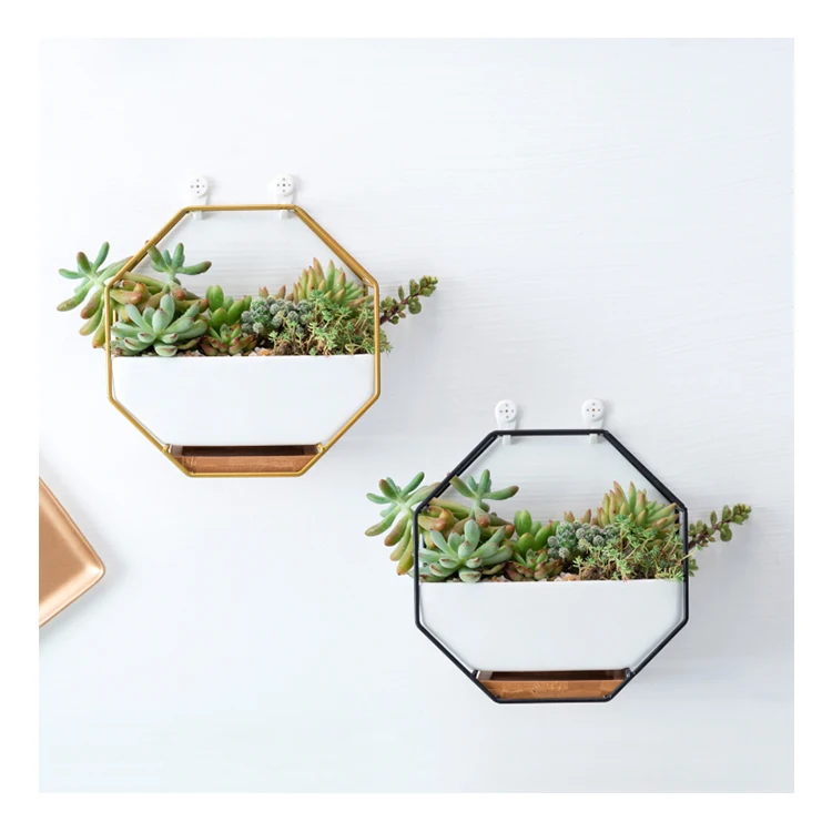 

Nordic octagonal ins wall mounted iron ceramic succulent flower pot planter set wholesale, White