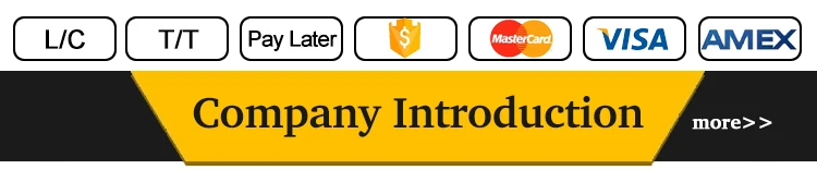 electric hoist 10 ton 20t double girder over head rail bridge crane