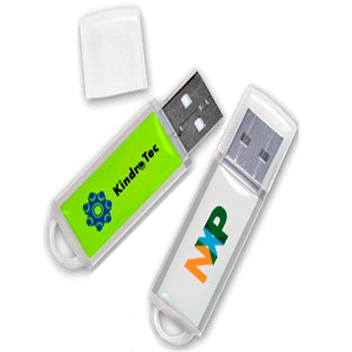 Stylish OEM Plastic Case USB Flash Drive 8GB 16gb 32gb Usb 3.0 Pen Drive Memory Stick - ANKUX.COM