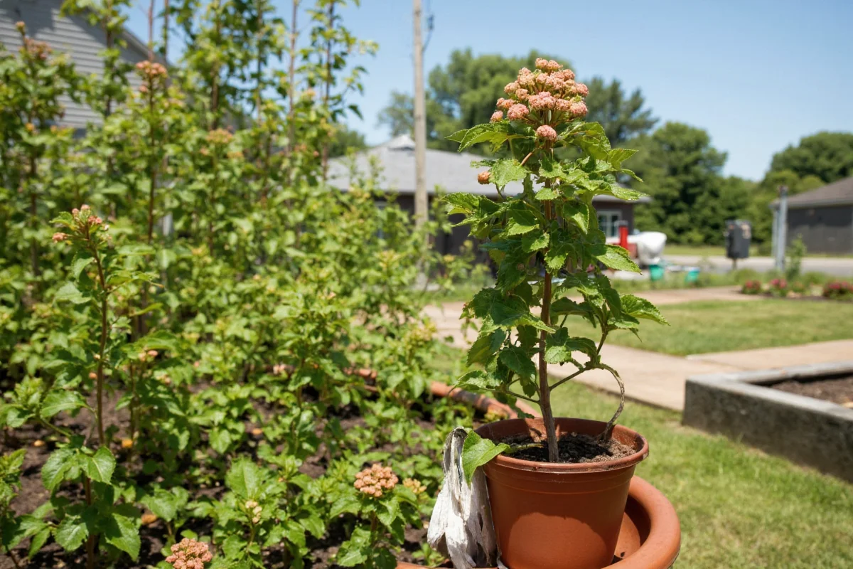 Expert Tips on Plant Care and Gardening Strategies 2025