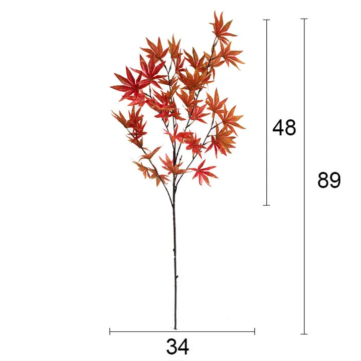 11100915896_1493019570.jpg
