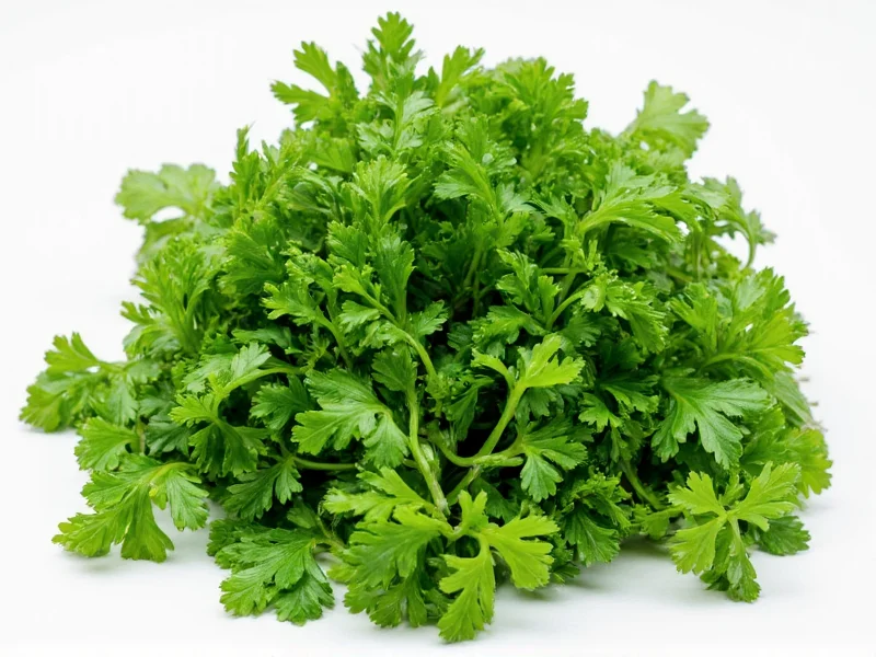 Coriander vs Parsley: Clear Differences Explained