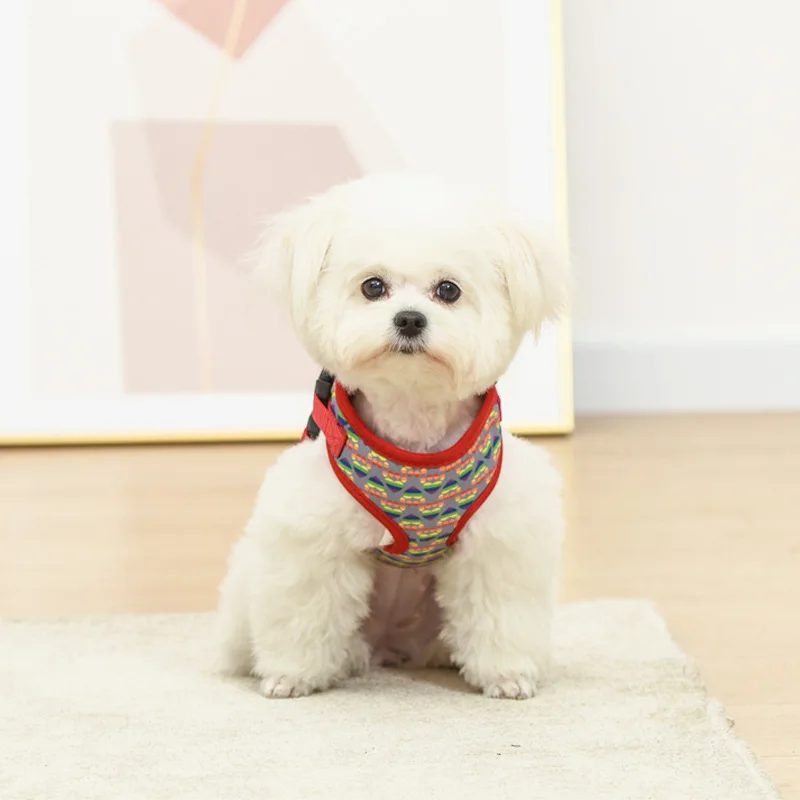 

Luxury Custom Design Oem Cute Slowton Lightweight No Pull Step In Fashion Floral Cat Dog Pet Harness Leash Set