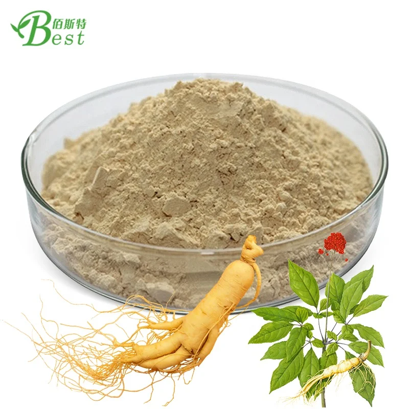 

High qualitypanax ginseng root powder 5%-80% ginsenosides ginsenosides ginseng extract powder