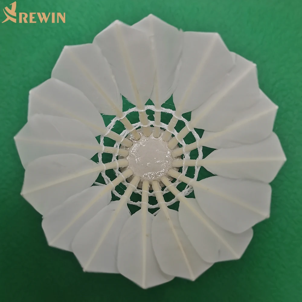 

Factory OEM Cheap Badminton Shuttlecock 503