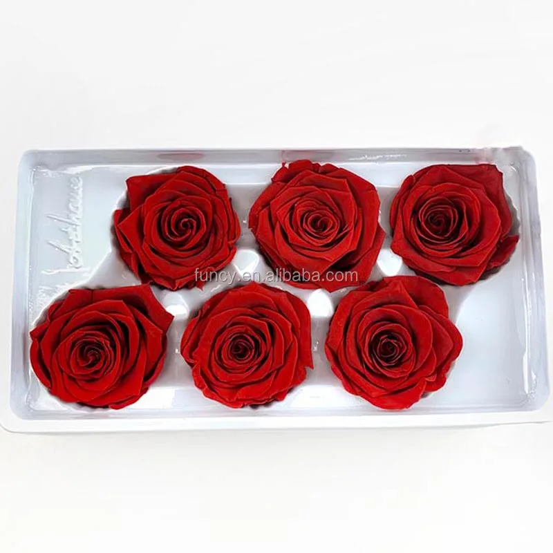 Wholesaler Eternal Rose Preserved Forever Immortal Rosas Preservadas