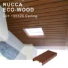 Foshan Ruccawood WPC Indoor Decorative Suspended Ceiling Panel, PVC False Ceiling Panel Design for living room/bathroom 100*25mm