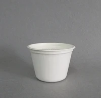 

White Compostable Disposable Cup - 100% Biodegradable Sugarcane Bagasse, Paper and Plastic Alternative, 5oz(140ml)