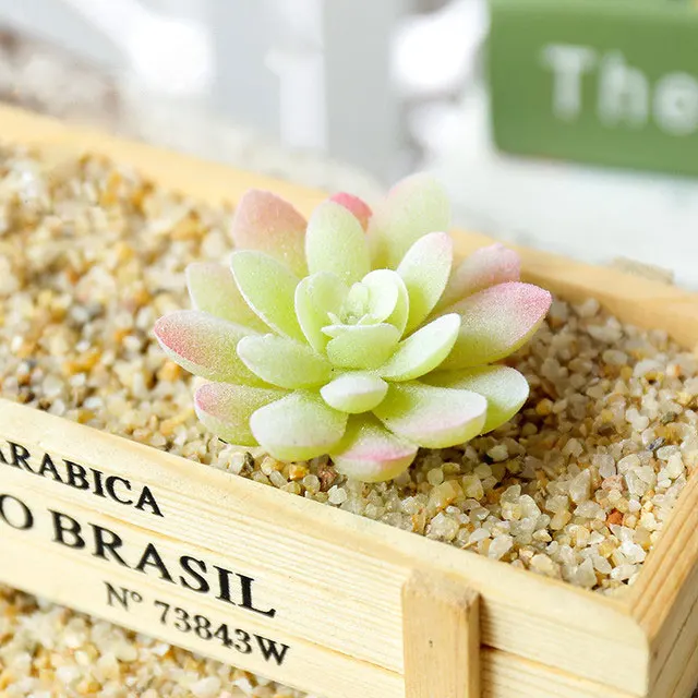 

Wholesale Mini Assorted Live Green Artificial Cactus Succulent Plant For Decoration, Same as photo