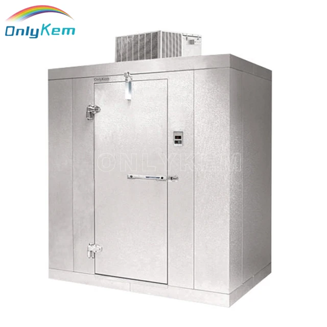 
Cold Room Storage, Blast Freezer for Fish 