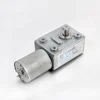 Custom 24v 12v 300rpm Coffee Machine Micro DC Worm Gear Motor 6v bldc motor for 3D print