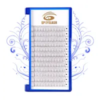 

0.07mm 0.1mm premade fans lashes eyelashes false free natural false eyelashes samples handmade volume lashes products