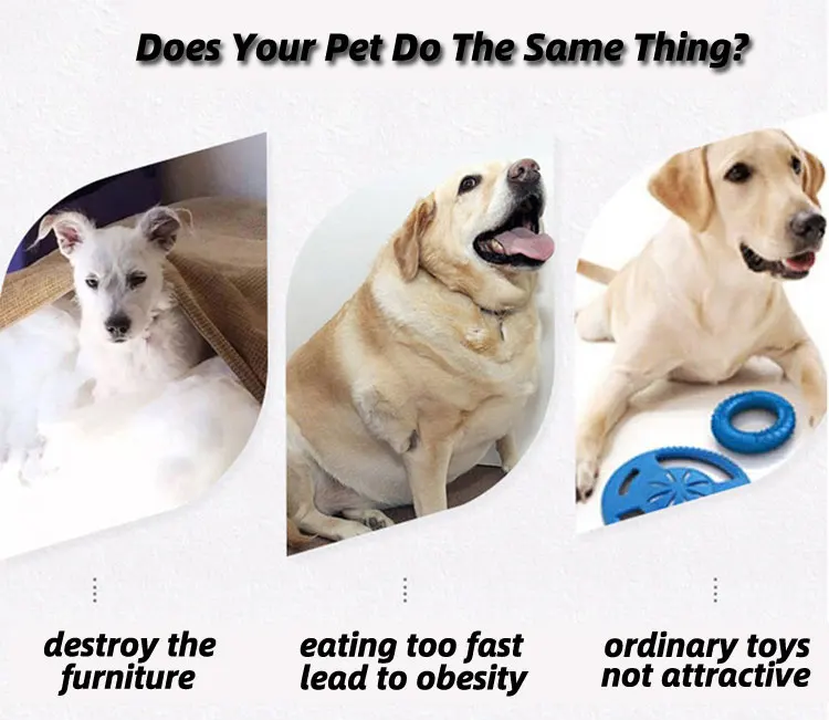 Best Newest Puzzle Toys Pet Feeder Treat Wooden Interactive Dog Puzzles To Cats