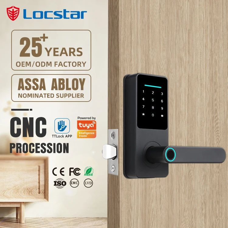 

Locstar Swipe Card Door Lock Intelligence Tuya Smart Lock With Fingerprint Smart Lock