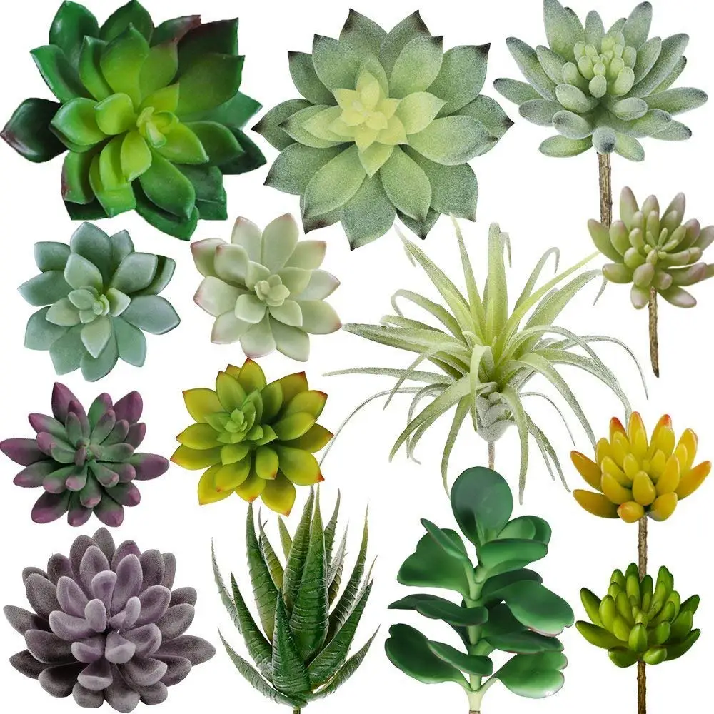 

14 PCS Succulents Plants Mini Succulents Plants, Purple