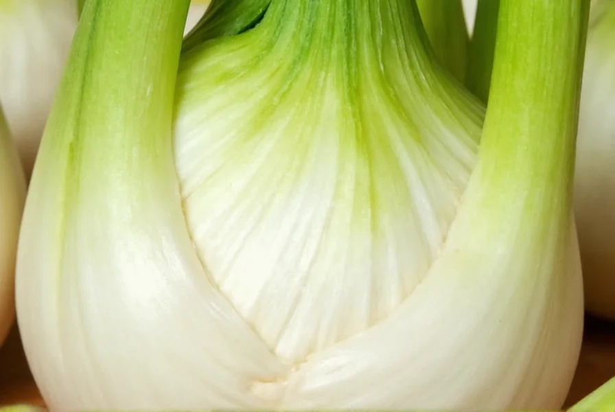 Close-up of raw fennel bulb showing crisp white interior and green fronds