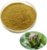 100% natural artichoke leaf extract powder to protect liver cell