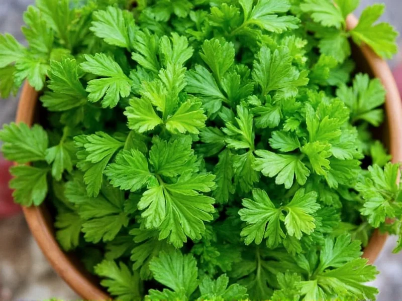 Parsley Substitutes: Best Replacements for Fresh & Dried Parsley