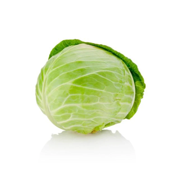 
Wholesale bulk delicious green fresh cabbage for sale 
