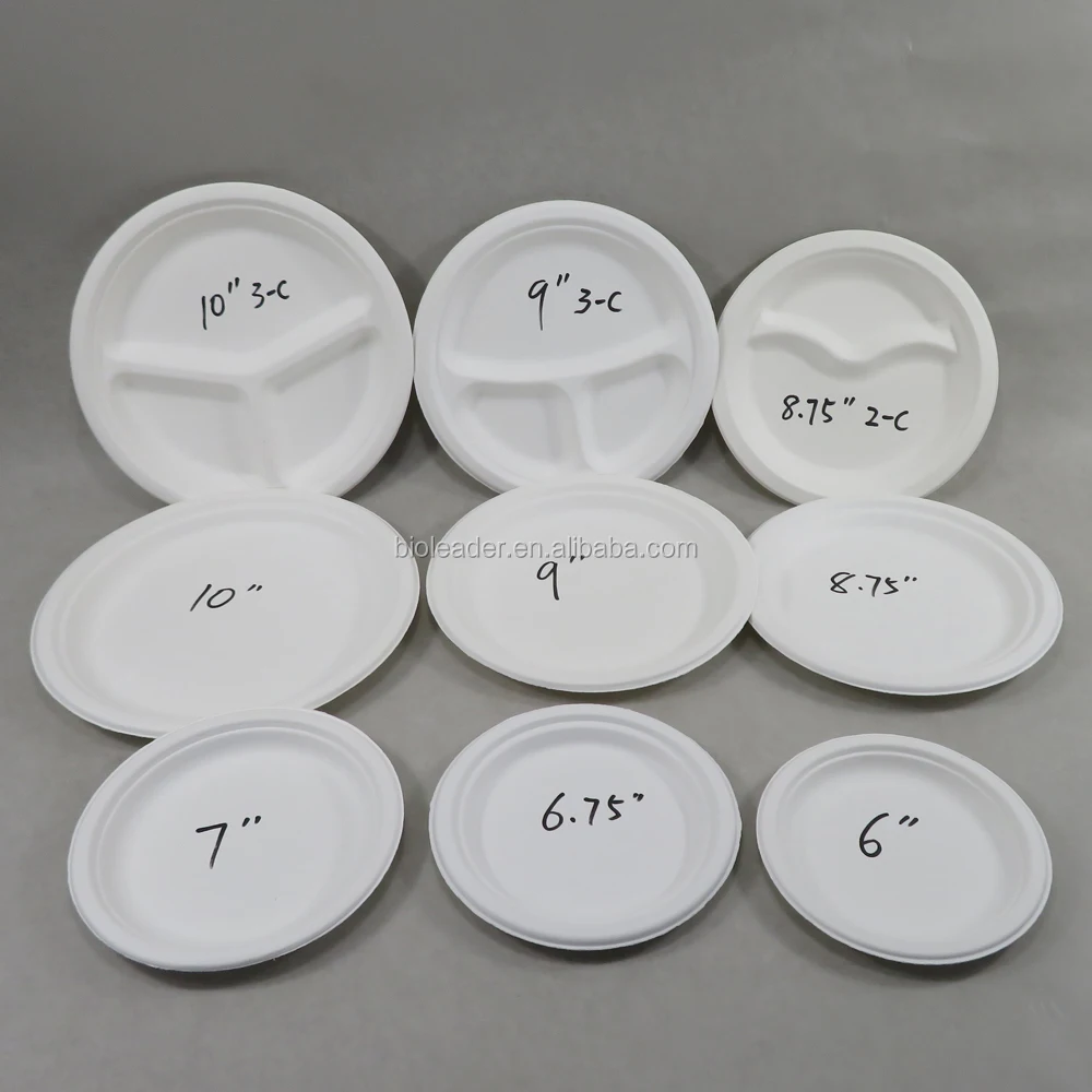 

Eco biodegradable disposable plates tableware from sugarcane, White and nature